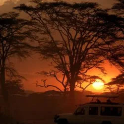 A typcial 4WD car with safari-roof in the last daylight, in the background Acacia treea. Serengeti National Park, Tanzania/East Africa.

See more of my photos of landscapes and sunsets in Africa:
[url=file_closeup.php?id=5889447][img]file_thumbview_approve.php?size=1&id=5889447[/img][/url] [url=file_closeup.php?id=5992282][img]file_thumbview_approve.php?size=1&id=5992282[/img][/url] [url=file_closeup.php?id=5826964][img]file_thumbview_approve.php?size=1&id=5826964[/img][/url] [url=file_closeup.php?id=11827986][img]file_thumbview_approve.php?size=1&id=11827986[/img][/url] [url=file_closeup.php?id=6135834][img]file_thumbview_approve.php?size=1&id=6135834[/img][/url] [url=file_closeup.php?id=11827972][img]file_thumbview_approve.php?size=1&id=11827972[/img][/url] [url=file_closeup.php?id=6082863][img]file_thumbview_approve.php?size=1&id=6082863[/img][/url] [url=file_closeup.php?id=6321450][img]file_thumbview_approve.php?size=1&id=6321450[/img][/url] [url=file_closeup.php?id=17264482][img]file_thumbview_approve.php?size=1&id=17264482[/img][/url] [url=file_closeup.php?id=17264452][img]file_thumbview_approve.php?size=1&id=17264452[/img][/url] [url=file_closeup.php?id=17215986][img]file_thumbview_approve.php?size=1&id=17215986[/img][/url] [url=file_closeup.php?id=17208655][img]file_thumbview_approve.php?size=1&id=17208655[/img][/url] [url=file_closeup.php?id=17322226][img]file_thumbview_approve.php?size=1&id=17322226[/img][/url] [url=file_closeup.php?id=17271069][img]file_thumbview_approve.php?size=1&id=17271069[/img][/url]